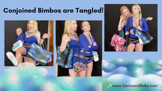 Conjoined Bimbos Are Tangled