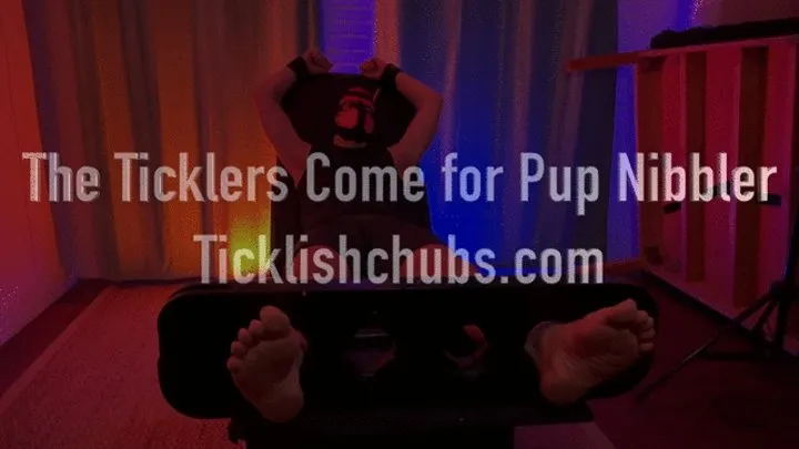 The Ticklers Come for Pup Nibbler