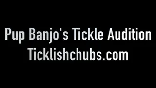 Pup Banjo's Tickle Audition