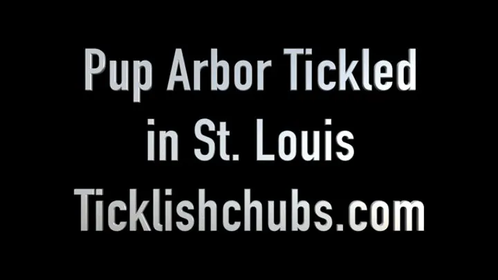 Pup Arbor Tickled in St Louis