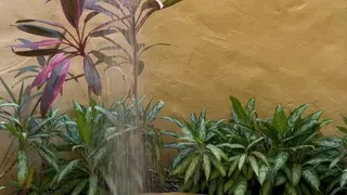 Sexy Outdoor Shower In Mexico