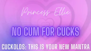 NO CUM FOR CUCKS: your new mantra