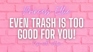 Even Trash is Too Good For You!