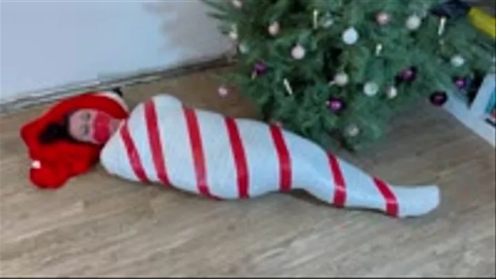 YY85 - Christmas Mummification