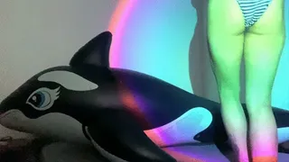 Rough playing and deflating orca