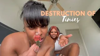 Destruction of Tinies ft Sucksunnysoles