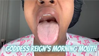 Goddess Reigns Morning Mouth Tour