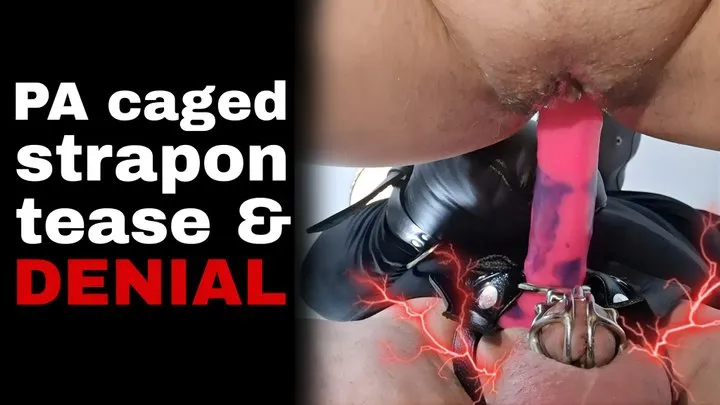 Femdom Strapon Sex Chastity Cage Device Tease and Cum Denial Strap On Orgasm