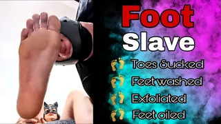 Femdom Foot Slave Sexy Feet Worship FLR Mistress Toe Sucking Oil Massage Stockings