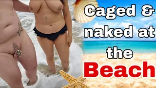 Nude in Chastity Cage at the Public Beach! Humiliating my Femdom Slave Outdoors