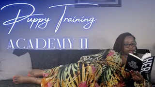 Puppy Training Academy II
