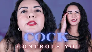 Cock Controls You