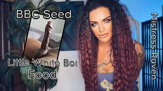 BBC SEED - LITTLE WHITE BOIS FOOD - Mistress Raven instructs you to jerk while She feeds you Superior BBC seed - BBC, Gay Jerk Off Instruction, Cum Countdown, CEI, Cum Countdown