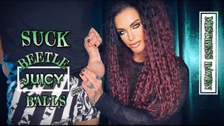 SUCK BEETLE JUICY BALLS - Mistress Raven humiliates you into Worshipping juicy balls - Make Me bi, Bisexual Encouragement, Gay Humiliation, Gay Jerk Off Instruction, Cum Countdown