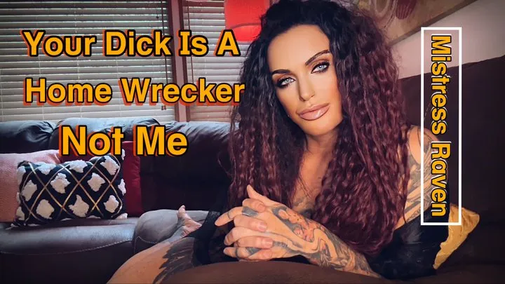 YOUR DICK IS THE HOME WRECKER - NOT ME