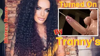 TURNED ON BY TRANNYS