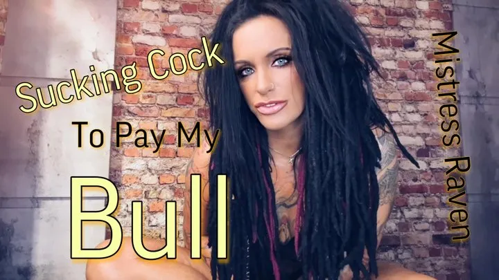 SUCKING COCK TO PAY MY BULL