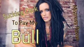 SUCKING COCK TO PAY MY BULL