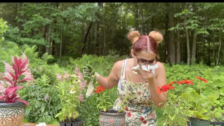 Gardening Interrupted by Sneezing and Nose Blowing