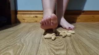 Shelled Nut Crush
