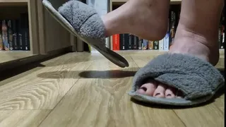 Slipper Dangling