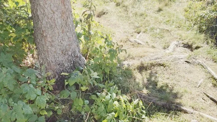 BLOWJOB IN THE MOUNTAINS AT 2000 METERS ALTITUDE