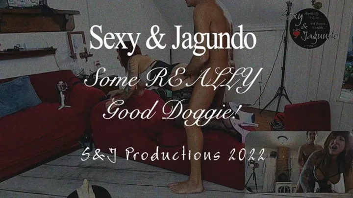 Sexy & Jagundo Just Some Really Good Doggie!