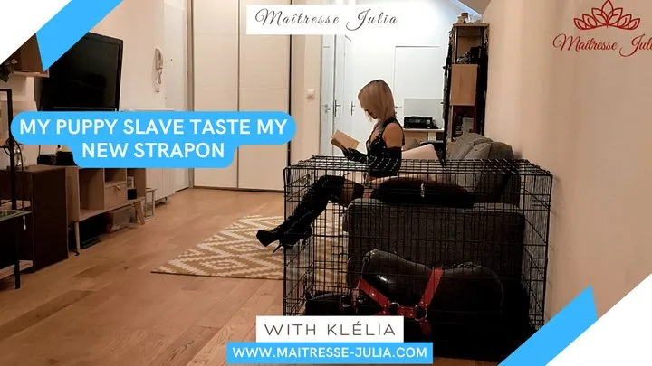 My Puppy Slave Taste my New Strapon (Latex Clothes) - Maitresse Julia