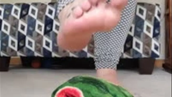 Foot Crush Stomp Plush Chipmunk Watermelon Puppet