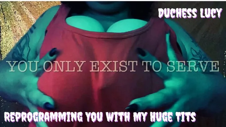 Reprogramming You with My Huge Tits