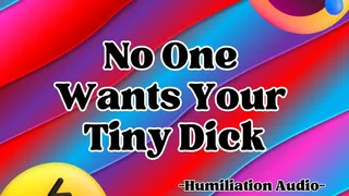 No One Wants Your Tiny Dick