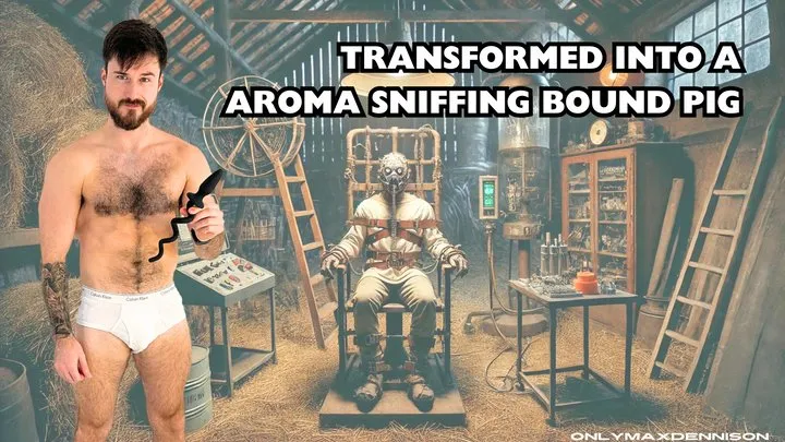 Transformed into a aroma sniffing bound pig