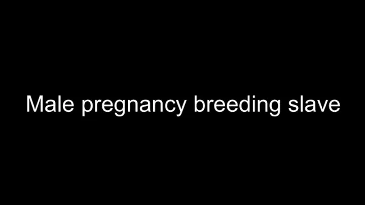 Gay Male pregnancy breeding slave