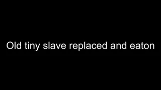 Macrophilia - how old is slave replaced and eaton