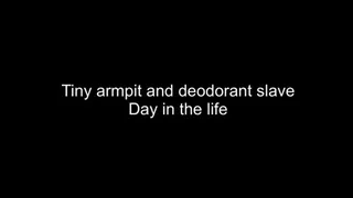 Macrophilia - giant armpit slave trapped in deodorant roll on