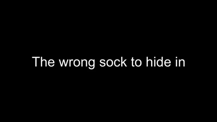 Macrophilia - the wrong sock to hide in! foot fetish