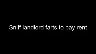 Gay farting humiliation - sniff fart to pay rent