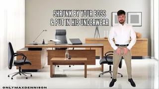 shrunk by your boss & put in his underwear