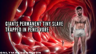 Giants permanent tiny slave trapped in penis vore