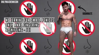 NO JERKING FOR SMALL PENISES - ONLY ANAL FINGERING & SNIFFING - JOI