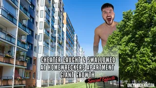Giant growth special effects - Cheater caught & swallowed in homewreckers apartment