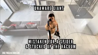 Unaware giant - Mistaken for a spider and sucked up the vacuum