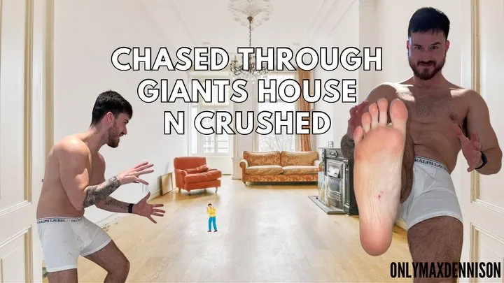 Macrophilia - chased through the giant house and crushed