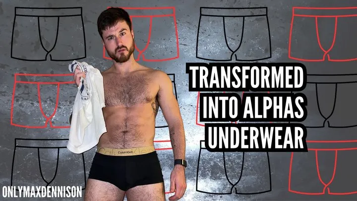 Transformed into alphas underwear