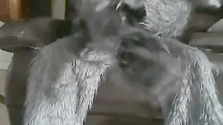 Werewolf Pawing
