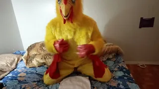 Chicken Mascot Bedside Pawing