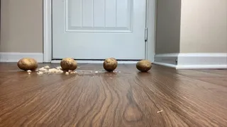 Hard Potatoes Meets Shoe