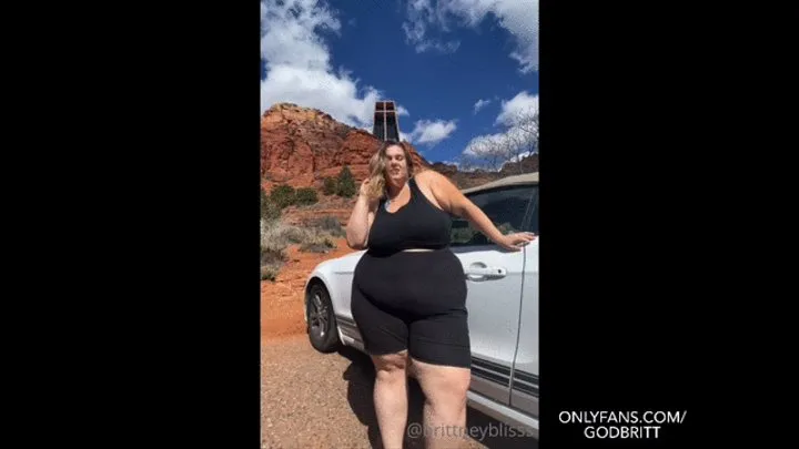 BBW Twerk And Shaking