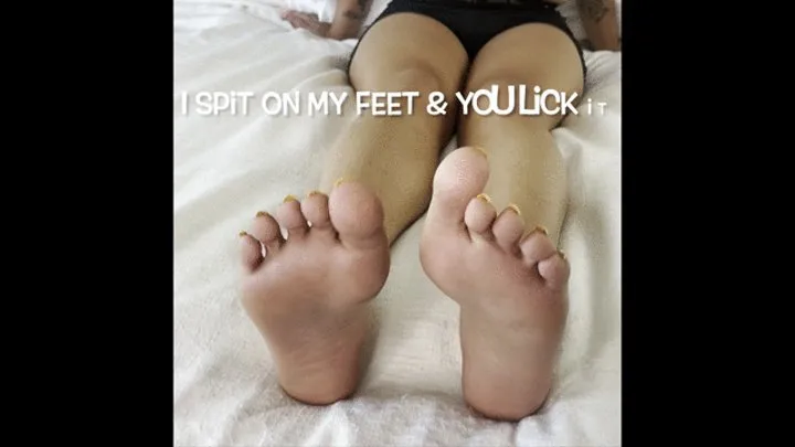 I Spit On My Feet & You Lick It