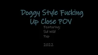 Doggy Style Fucking, Close Up POV